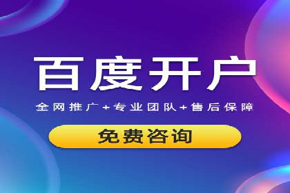 某企业通过SEM实现品牌与销售双增长的案例